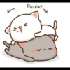 Peach&Goma 20
