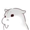 karikankan-hamsters 18