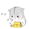 karikankan-hamsters 19