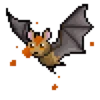 Fruit Bats 24