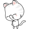 Kitty 19