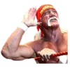 Hulk Hogan 9