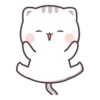 Cutie Cat 23