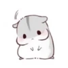 karikankan-hamsters 20
