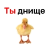 Ты днище