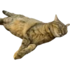MeowMeowPack 14