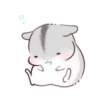 karikankan-hamsters 22