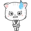 Kitty 21