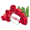 Para tu amor 13
