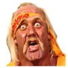 Hulk Hogan 11