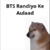 BTS Randiyo Ke
Aulaad