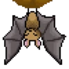 ܩ