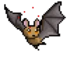 Fruit Bats 28