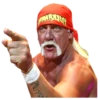 Hulk Hogan 12