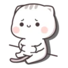 Cutie Cat 5