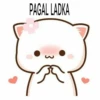 PAGAL LADKA