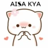 AISA KYA