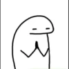 Flork 5