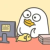 Duck Duck 12
