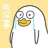 Duck Duck 13