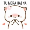 TU MERA HAI NA