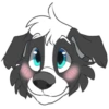 Cova Pup 6