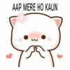 AAP MERE HO KAUN