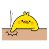 plump little chick 12