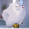 as gidget 13