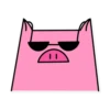 German the pig 15