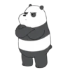 Bear Bear 11