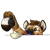 coffee yeen 9