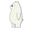 Bear Bear 12
