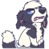 Cova Pup 8