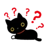 Kutsushita Nyanko: What a Meowthful 15