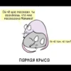 Mouseaaa 6