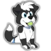 Cova Pup 9