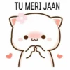 TU MERI JAAN