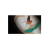 Mokuroh Pokemon Sun Moon! 17