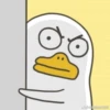 Duck Duck 19