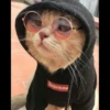 Cute Animals 7