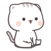 Cutie Cat 16