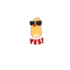 YES!