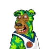 Gambling bear 5