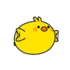 plump little chick 23