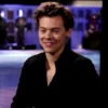 HARRY SтYlES 22