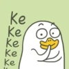 Duck Duck 24