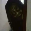 hAntu 22