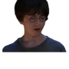 Harry Potter Raven 6