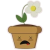 Kawaii 9